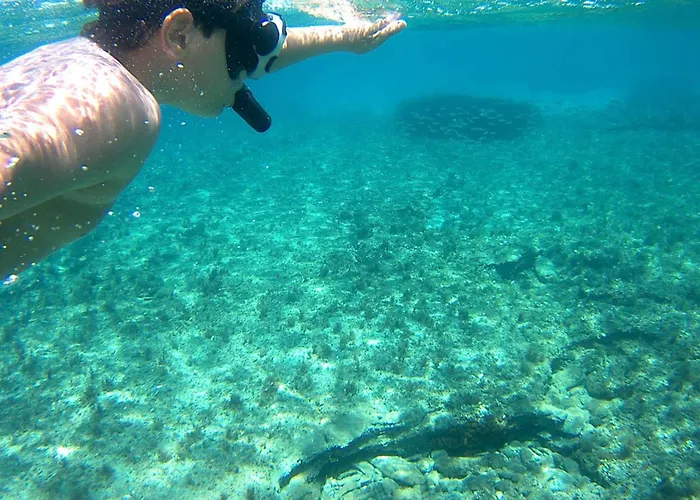 アパート Stunning Seafront In Kea